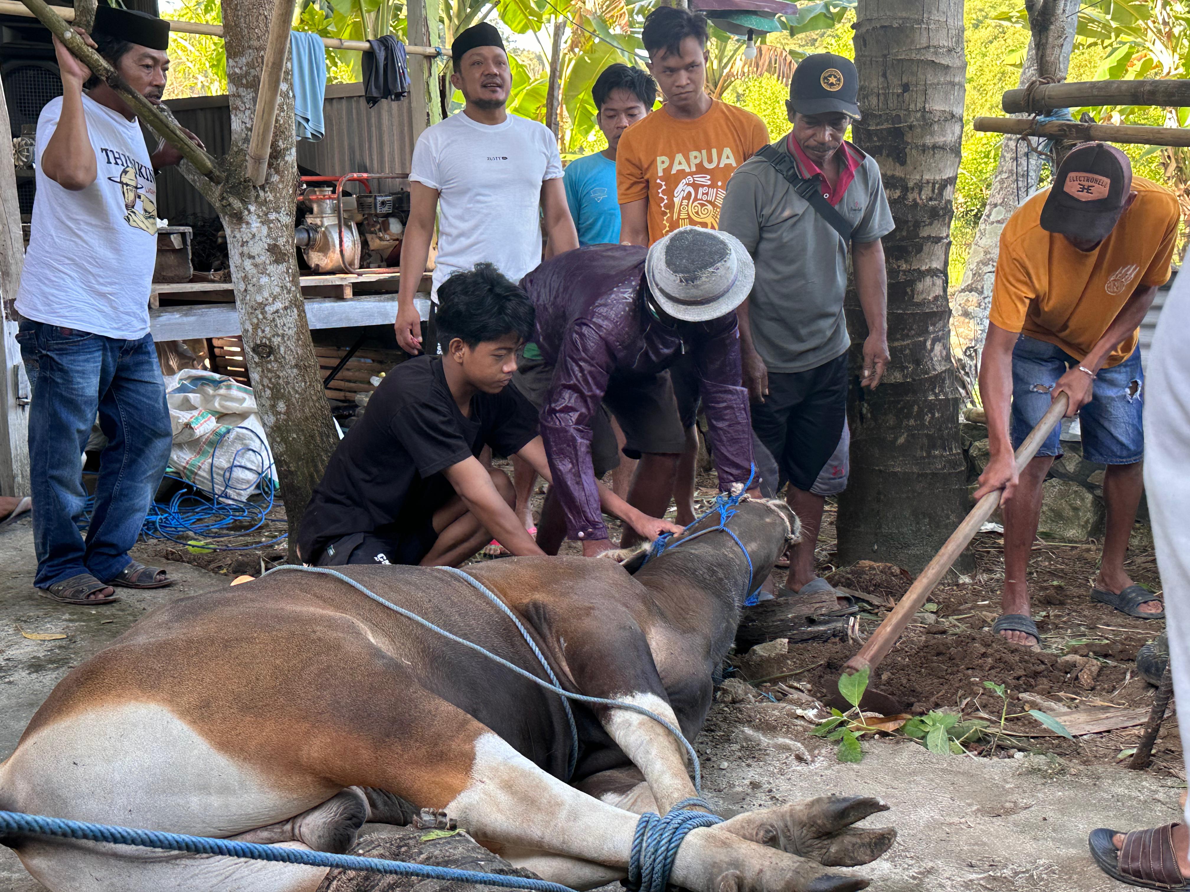 WhatsApp Image 2024 06 19 at 105233