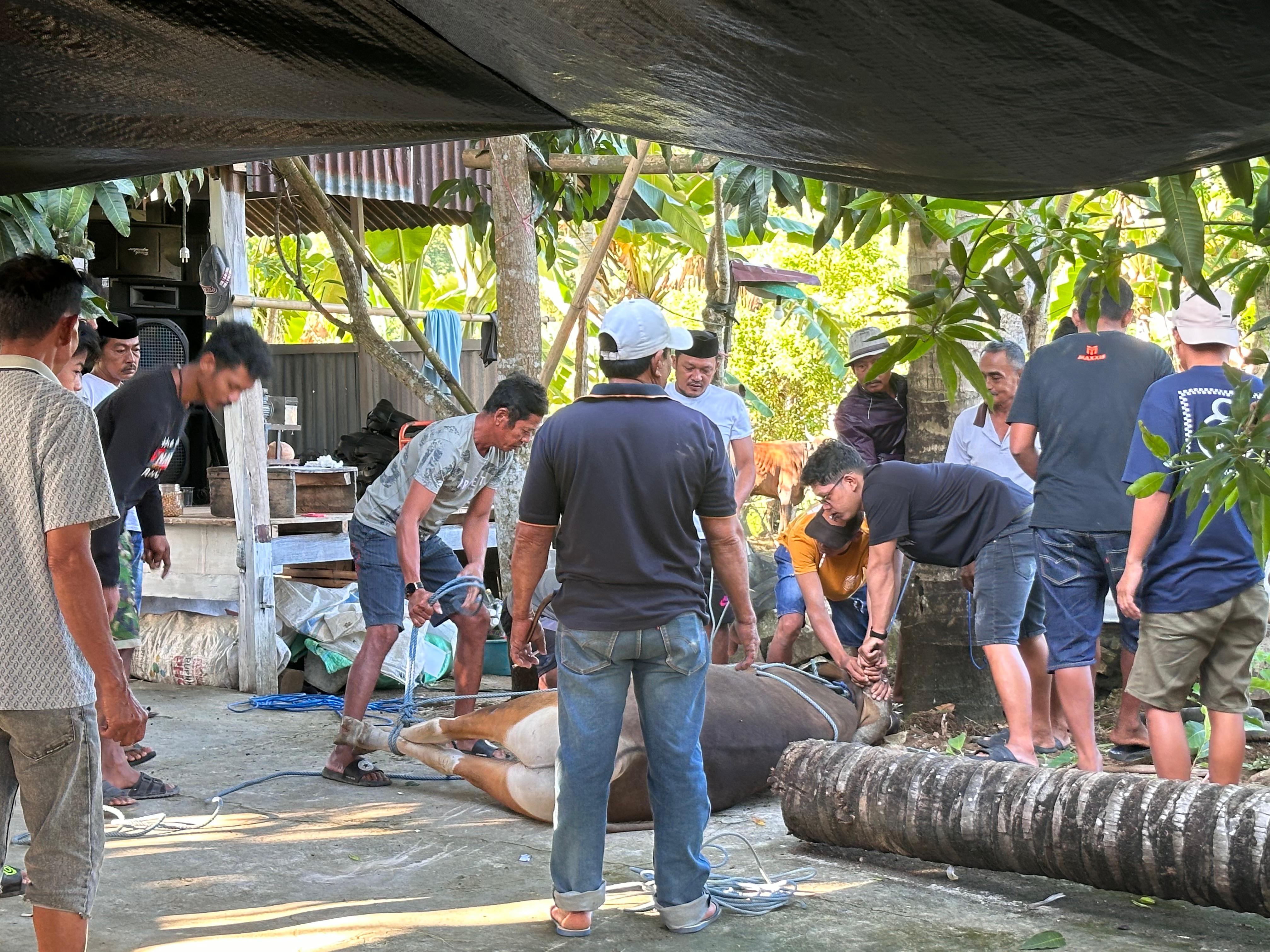 WhatsApp Image 2024 06 19 at 1052341